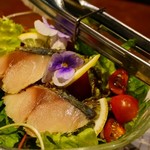 とろさば料理専門店　SABAR - 