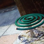 とろさば料理専門店　SABAR - 