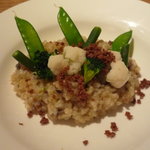 メルロ・パノニカ - 季節野菜の玄米リゾット