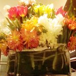 カランドリエ - 201102再訪問