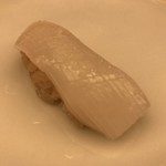 鮨 木場谷 - アオリイカ