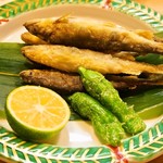 新町冨久鮓 - 稚鮎 天ぷら