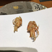 点邑 - 