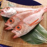 Tairyou Sakaba Uotaru Honten - 各地の漁港直送の新鮮なのどぐろを塩焼きや煮付け、魚串でご提供しております