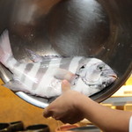 味あら井 - 佐伯鎌江の2kgの石鯛