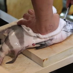 味あら井 - シメ：佐伯鎌江の2kgの石鯛