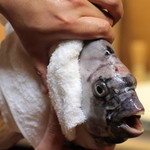 味あら井 - シメ：佐伯鎌江の2kgの石鯛