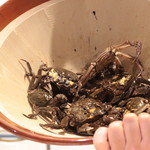 味あら井 - 山国川津蟹で出汁をとります