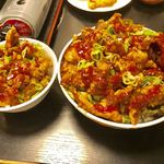 普通サイズのスパイシー豚カラ丼と比べて【料理】 