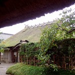 割烹 新多久 - 武家屋敷(若林家住宅)；百五拾石取り侍の屋敷は流石に格調が高いです @2017/10/22