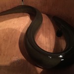 にょろ助 瓢六亭 - 八郎潟産天然鰻