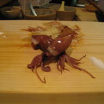 鮨 なんば - ホタルイカ