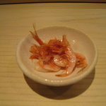 鮨 なんば - 桜えび