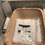 ANAラウンジ -