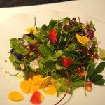 ALTOMOND - フランス産フォアグラのポアレ 17種の野草サラダ仕立て