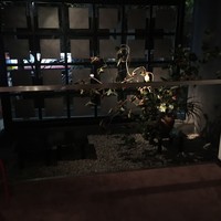 博多もつ鍋 やま中 赤坂店 - 
