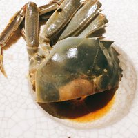 茶禅華 - 