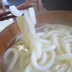 権平うどん - 麺のアップ