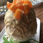 雪みるく - みかん&ゆずレアチーズ 800円