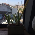 カフェ ガーデン - 