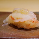 鮨菜 和喜智 - ボタンエビ