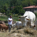らんぷ亭 - 白くてでかいね。子供の時は茶色なんだって！