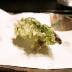 川波 - 山菜の天ぷら、たらのめ