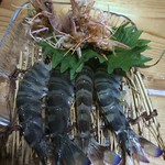 Rakudaya - 海老の踊り食い