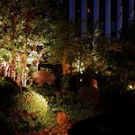 日本料理 木の花 - 