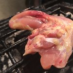 炭火焼鳥 きち蔵 - 阿波尾鶏 マツバ 焼きやき～