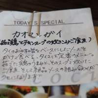 coci - 