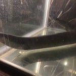 にょろ助 瓢六亭 - 琵琶湖産天然鰻