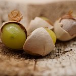 日本橋蛎殻町 すぎた - 銀杏