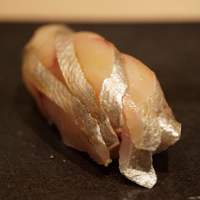 匠　達広 - 疣鯛