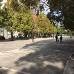 中華蕎麦 時雨 - 