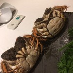 倶楽湾 - 上海蟹オスメス