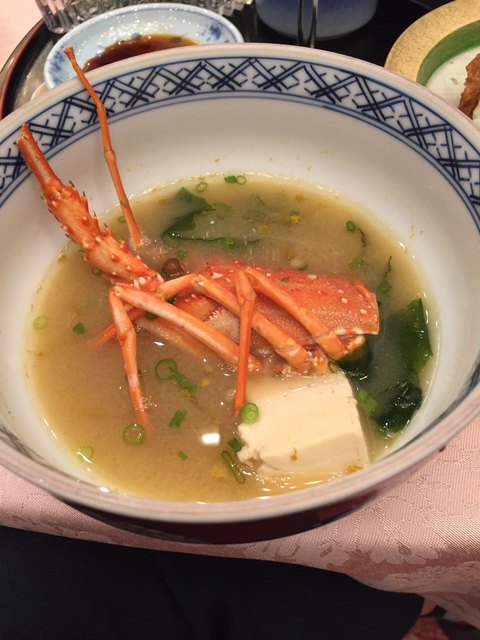 ホテルニュー種子島 屋久島町その他 旅館 オーベルジュ その他 食べログ ホテルニュー種子島 屋久島町その他 旅館 オーベルジュ その他 食べログ