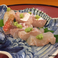 千松しま - 白川(白甘鯛)の造り