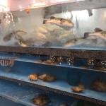 魚 駅前 - 