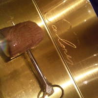 SALONE 2007 - 