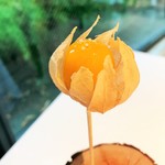 プレヴナンス - 大粒のほおづき（アップ）