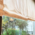 プレヴナンス - 窓から木立ち