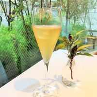 プレヴナンス - 金木犀のコーディアル