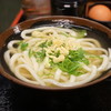 手打十段 うどんバカ一代 - 料理写真:かけうどん