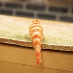 東麻布 天本 - ☆車海老