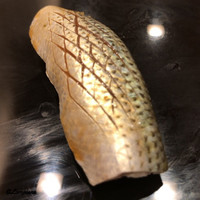 鮨桂太 - 小鰭