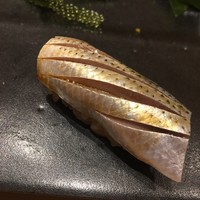 不動前 すし 岩澤 - 小肌