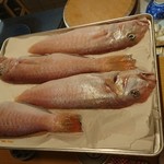 すし酒場 平島 - 白ぐじ(白甘鯛)！