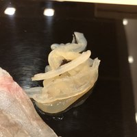 鮨桂太 - 