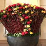 レストランエール - 食事の後は、ファンケル銀座スクエアで開催されていたローズガーデンに寄りました。